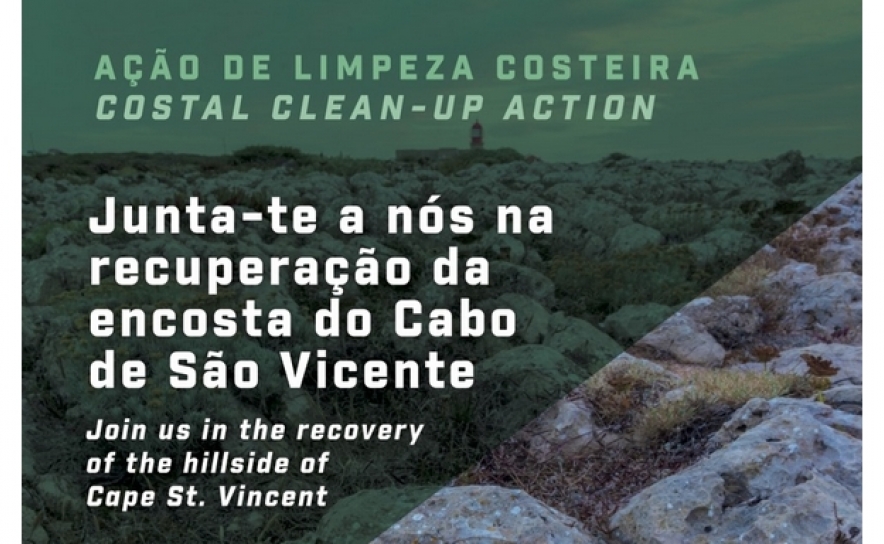 Comunidade de escaladores promove limpeza costeira em Sagres