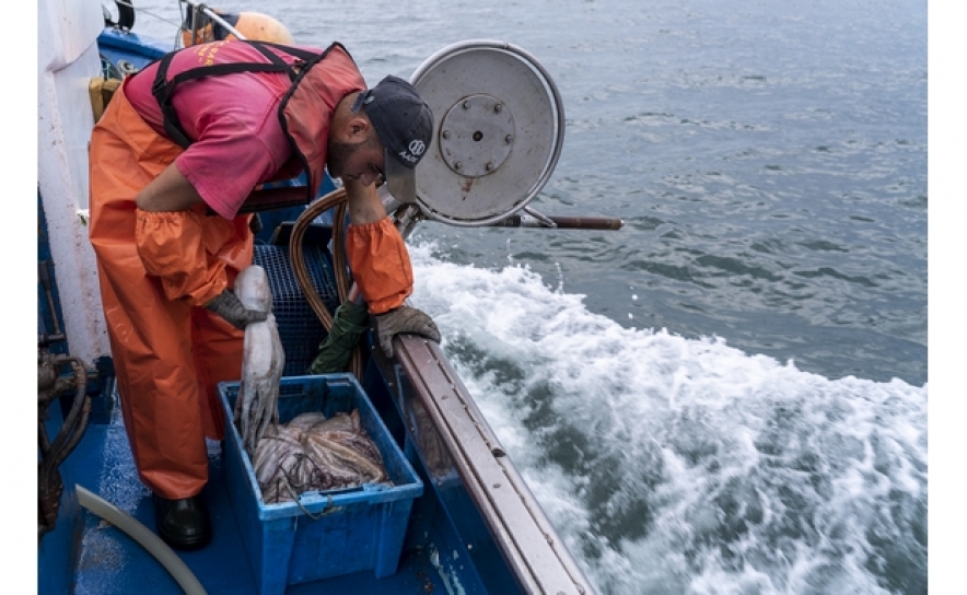 Projeto de rotas do polvo e atum apresentadas aos pescadores de Santa Luzia