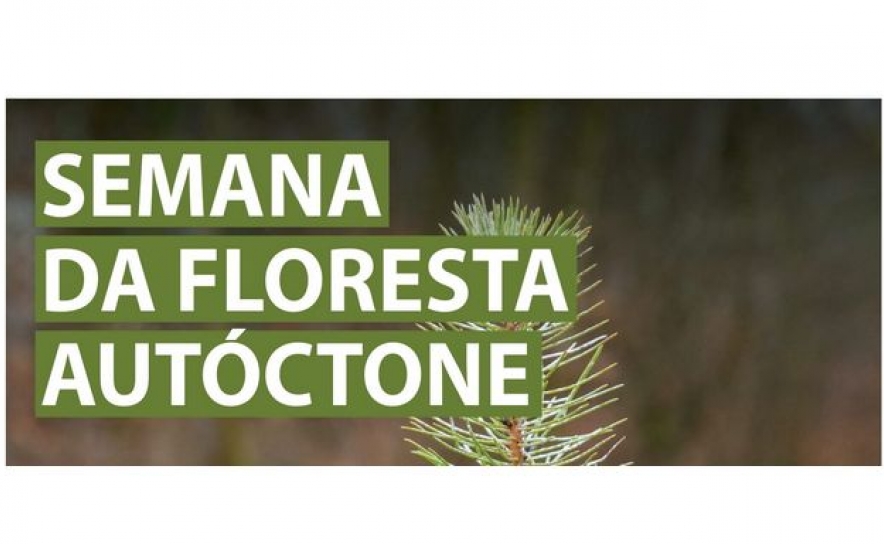 Semana da Floresta Autóctone: Plante uma árvore, ajude o planeta!