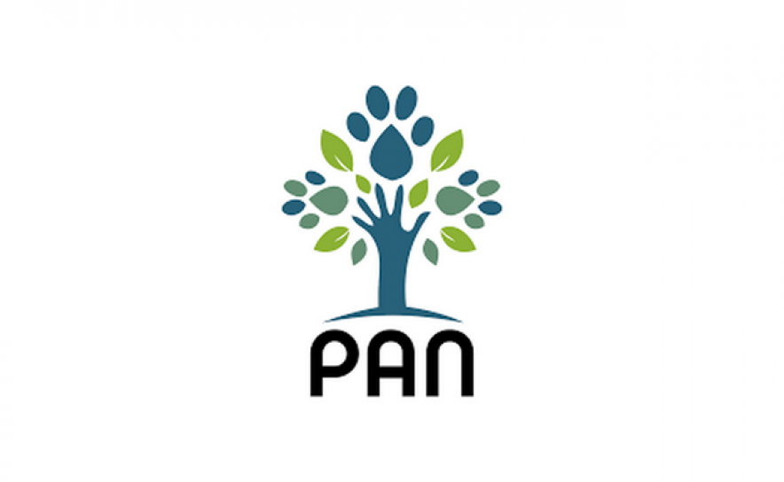 PAN pede ao Governo reforço urgente das medidas de proteção às crianças e jovens em situação de risco