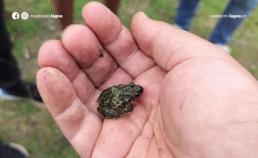 Oficina | Charcos como Ferramentas para a Educação Ambiental