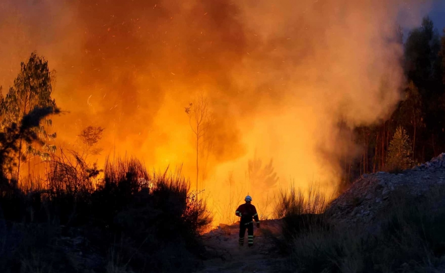 Incêndios: Fogo em Odemira consumiu área estimada em 1.100 hectares 