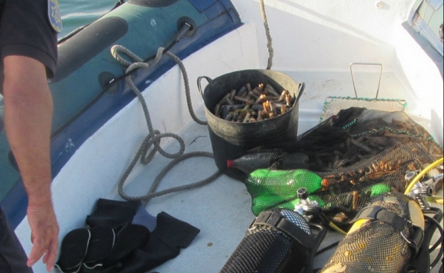 Polícia Marítima apreende 50kg de lingueirão no interior da Ria Formosa