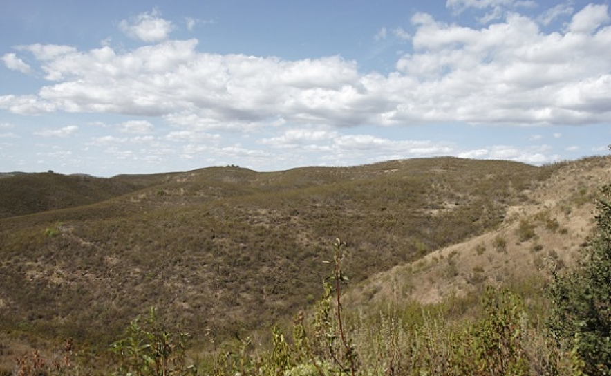 ANP/WWF recupera zona perto de antiga lixeira na serra do Caldeirão em Tavira