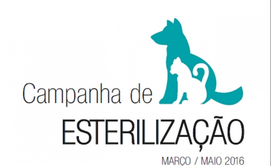  CAMPANHA DE ESTERILIZAÇÃO 