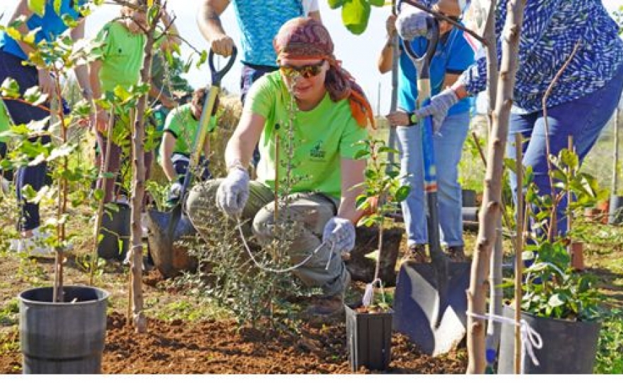 Zoomarine e Nativawaky plantam floresta Miyawaki em prol da regeneração do Algarve