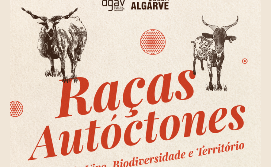 Dia Nacional das Raças Autóctones assinalado em Tavira com fórum sobre raças algarvias