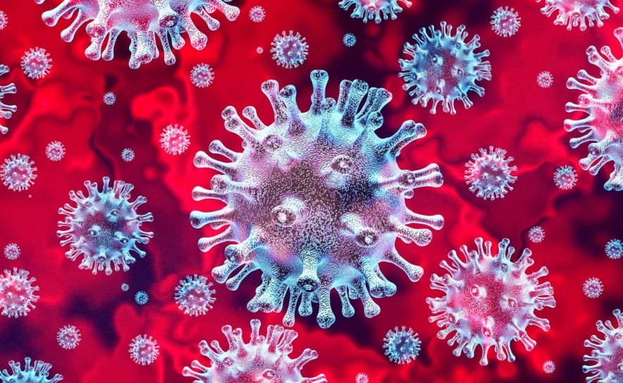 Instituto Ricardo Jorge já detetou 600 mutações do novo coronavírus