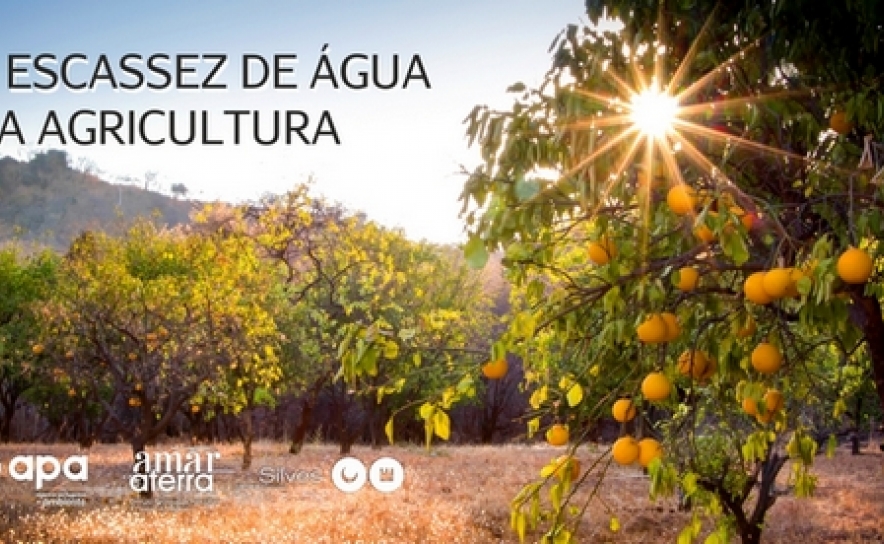 Município de Silves promoveu em conjunto com a Agência Portuguesa do Ambiente e a Direção Regional de Agricultura do Algarve um debate sobre a escassez de água na agricultura 