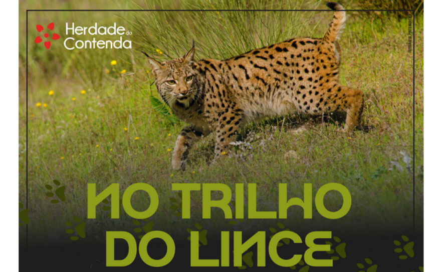 HERDADE DA CONTENDA | Percurso Pedestre «No Trilho do Lince» realiza-se a 14 de março