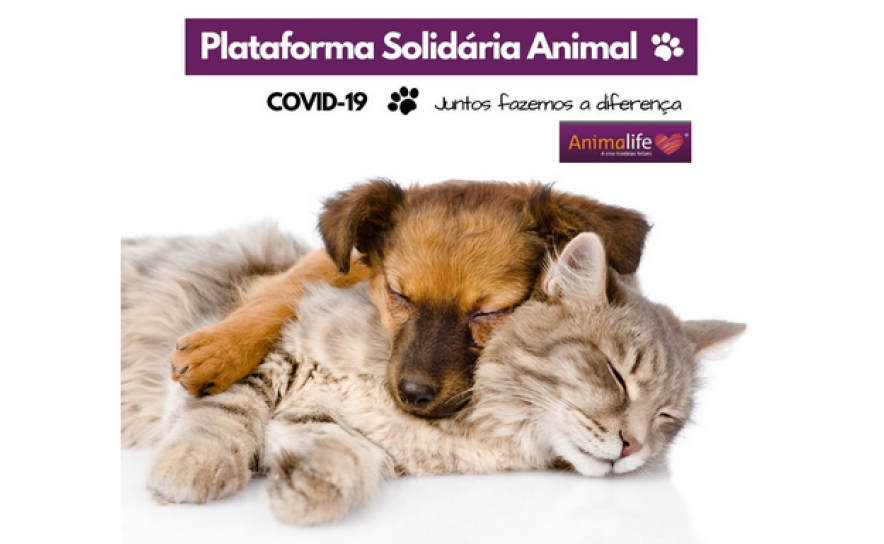 ANIMALIFE lança Plataforma Solidária Animal