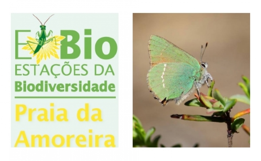 ALJEZUR INAUGURA ESTAÇÃO DE BIODIVERSIDADE DA PRAIA DA AMOREIRA