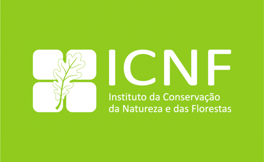 ICNF inicia comemoração com sementeira de sobreiros em Conceição de Tavira