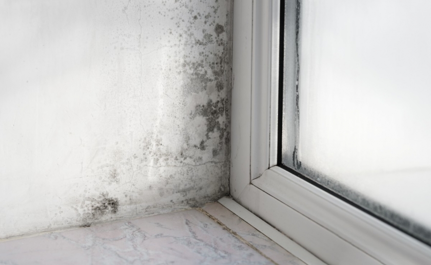 Obras em casa: quais os materiais resistentes à humidade?