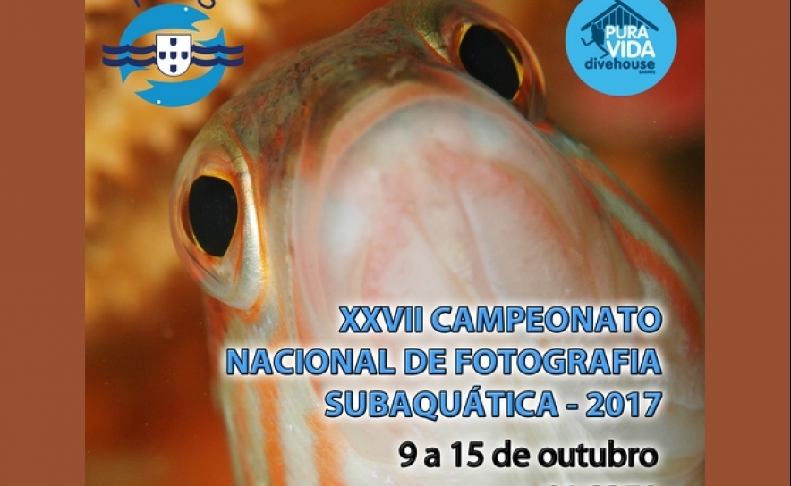 Sagres recebe Campeonato Nacional de Fotografia Subaquática