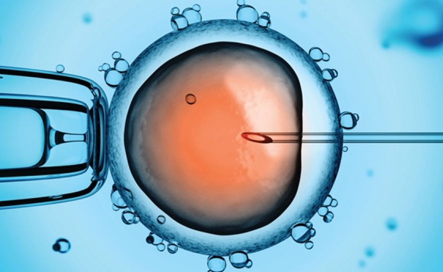 Impacto na Saúde Mental leva ao abandono precoce dos tratamentos de fertilidade