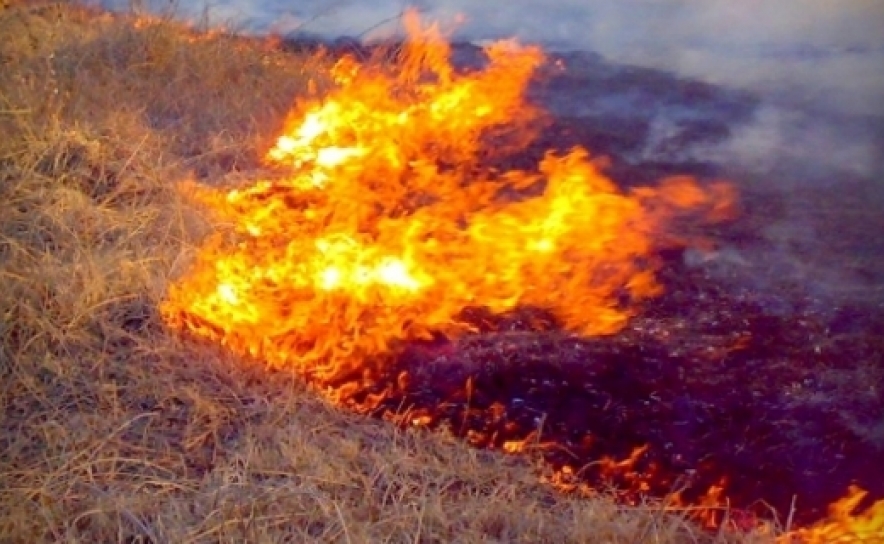 Incêndios: Maior parte dos fogos de 2018 com área ardida inferior a um hectare