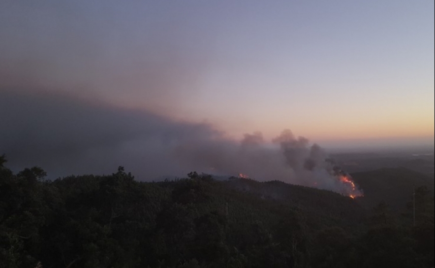 Incêndios: Governo proíbe caça nos concelhos afetados pelo fogo de Monchique