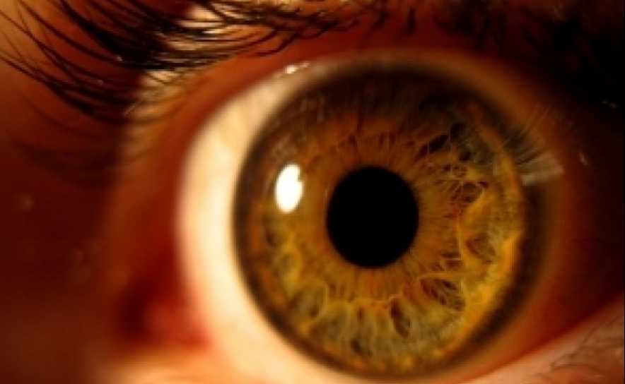 O olho, uma porta aberta para o diagnóstico de muitas doenças gerais