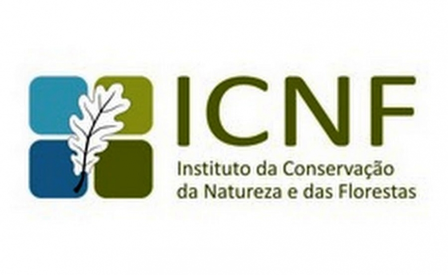ICNF autoriza conduta ao longo de mata protegida em Vila Real de Santo António