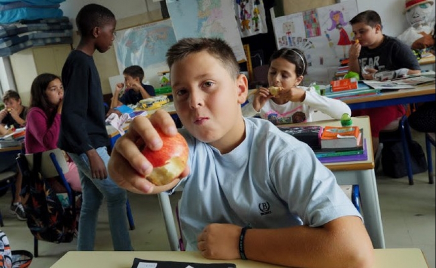 6 em cada 10 crianças portuguesas não ingerem fruta e legumes na quantidade certa