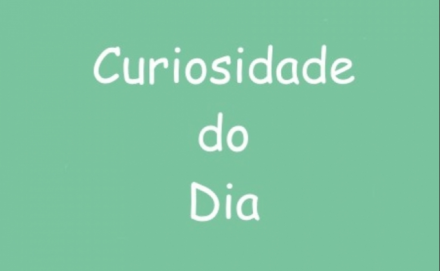 Curiosidades do dia - 6 de dezembro