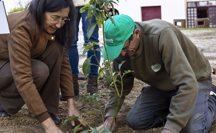 UAlg planta Árvores da Paz no Campus de Gambelas, reforçando Parque Botânico