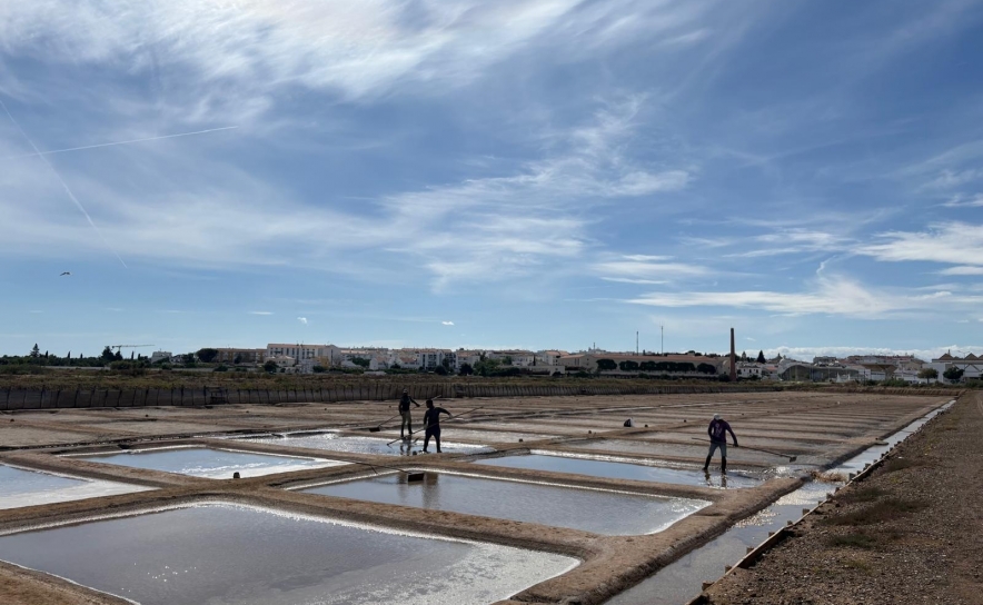 Museu Municipal de Tavira convida à descoberta das Salinas de Tavira