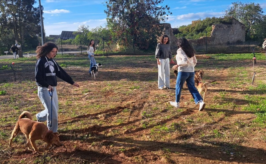 Cãominhada promove bem-estar e solidariedade em Olhão