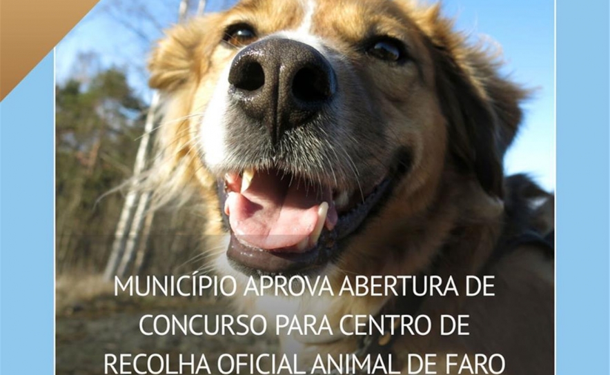 MUNICÍPIO DE FARO APROVA ABERTURA DE CONCURSO PARA CENTRO DE RECOLHA OFICIAL ANIMAL DE FARO