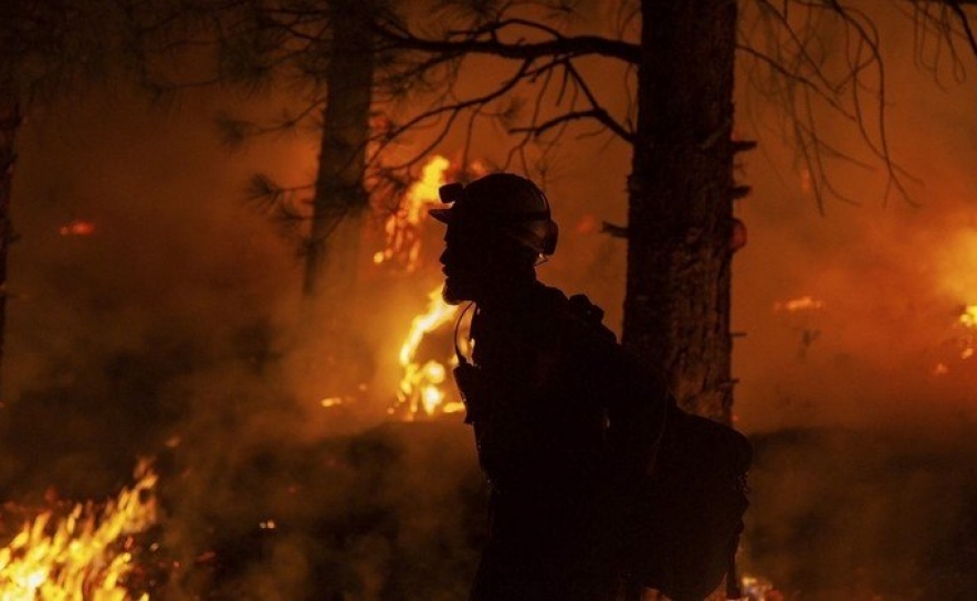 Incêndios: Três dos cinco setores do fogo em Odemira ainda ativos