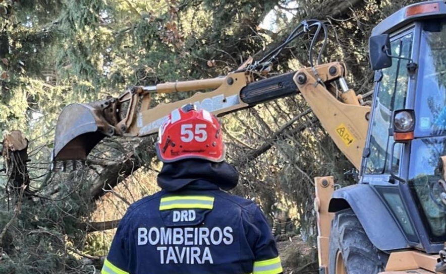 Danos provocados pela Tempestade Bernard no concelho de Tavira 