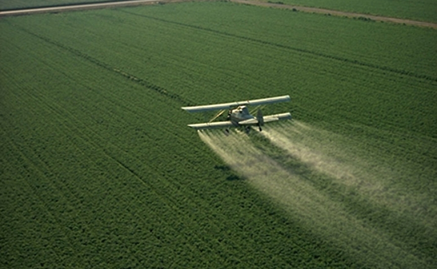 Semana de Acção Contra Os Pesticidas