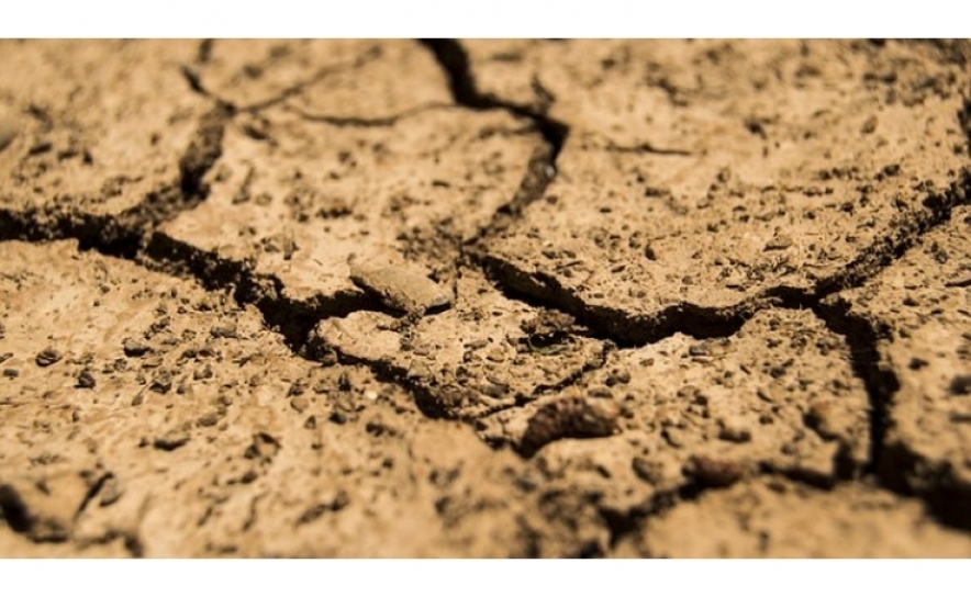 Portugal e Espanha garantem maior articulação e coordenação em situações de seca