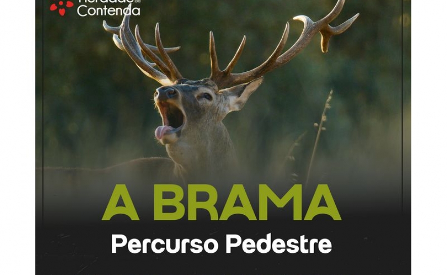 Herdade da Contenda promove percurso pedestre «A Brama» 
