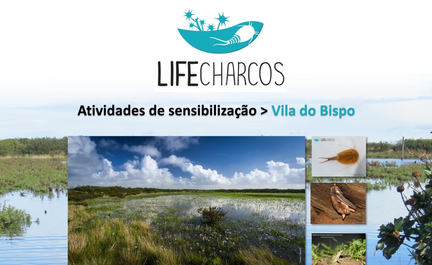 Palestras e visitas de campo para conhecer a Biodiversidade dos Charcos Temporários Mediterrânicos