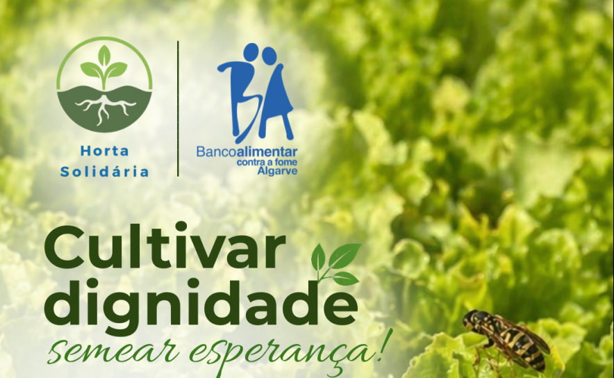 Banco Alimentar do Algarve quer expandir projeto ambiental a vários concelhos