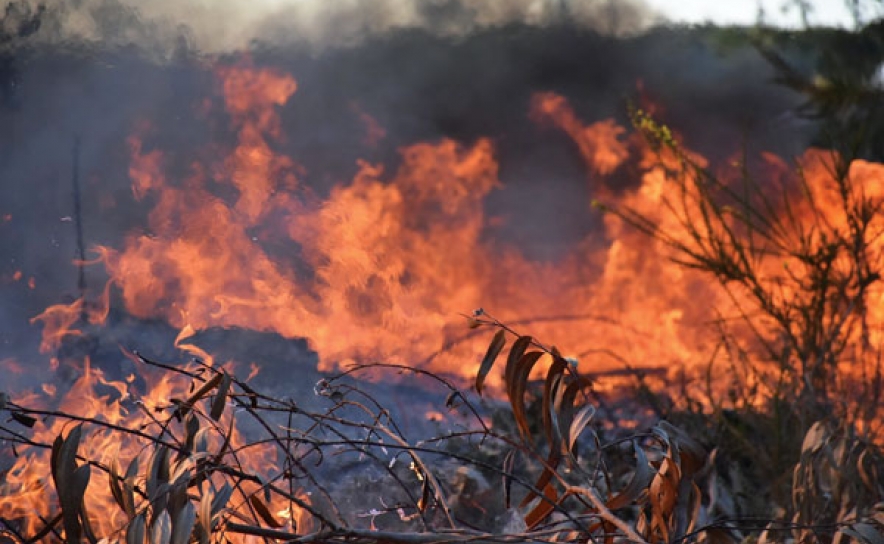 Autarca de VRSA reúne-se com Governo para avaliar prejuízos do incêndio que afetou o concelho