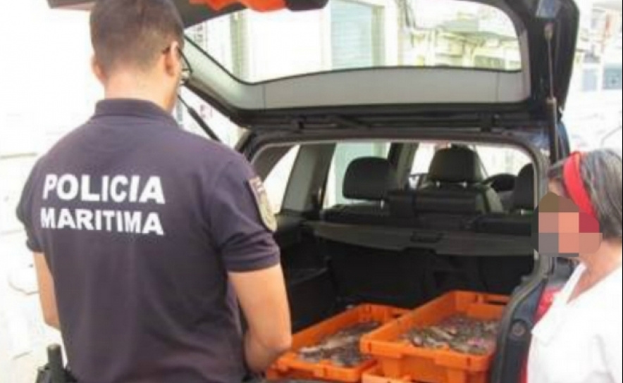 Polícia Marítima apreende mais de 130 kg de polvo no Porto de Pesca de Tavira