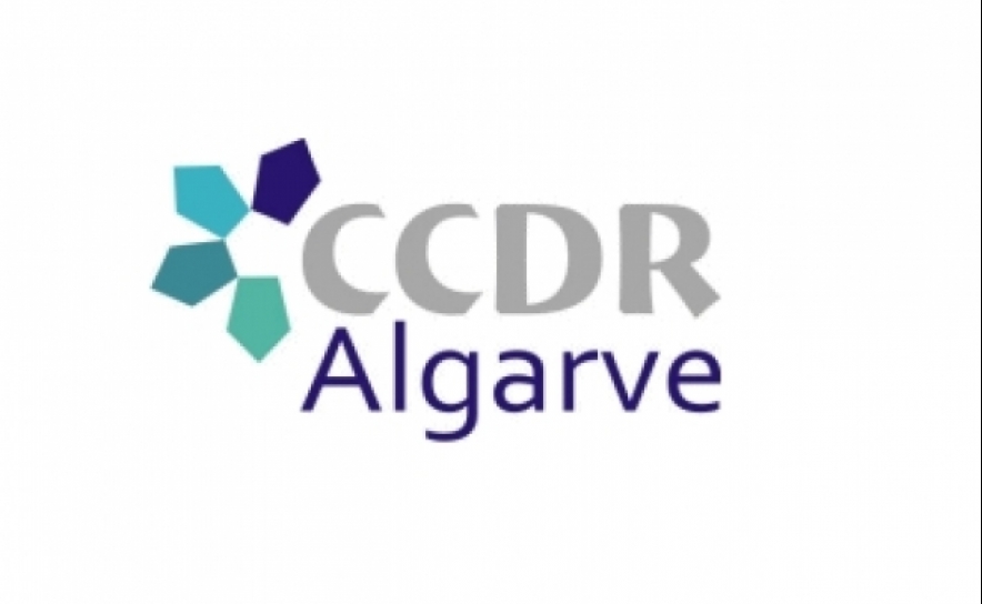 CCDR/Algarve aumenta controlo aos «direitos adquiridos» em operações urbanísticas