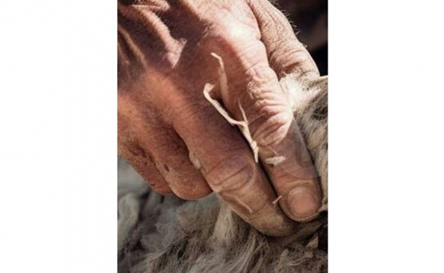 Créditos: Joana Guerreiro 