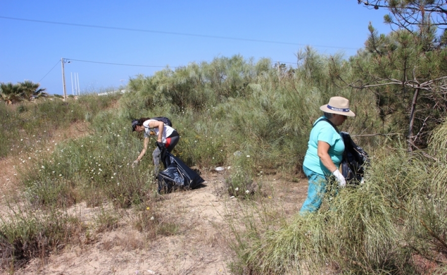 Ação de voluntariado ambiental limpa cordão dunar na Praia do Cabeço