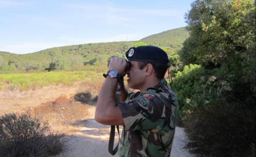 INCÊNDIOS: “É URGENTE APOSTAR NUMA POLÍTICA DE PREVENÇÃO!”