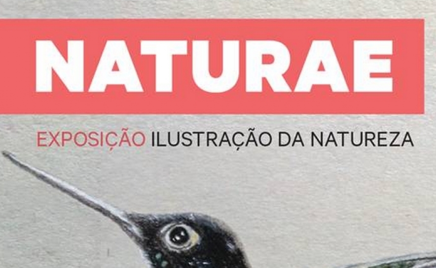 Naturae - Exposição de Ilustração da Natureza | Escola de Artes Mestre Fernando Rodrigues