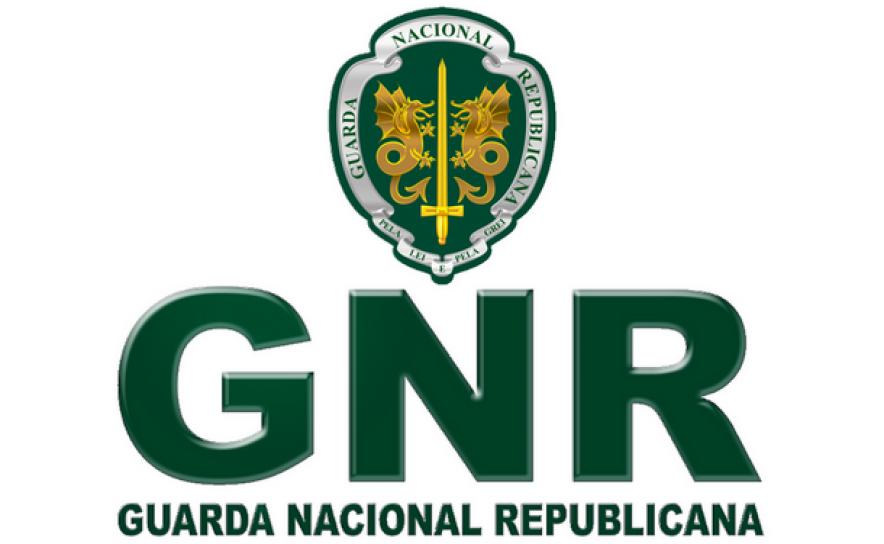 GNR apreende em Olhão 7,7 toneladas de ostras avaliadas em 30.000 euros