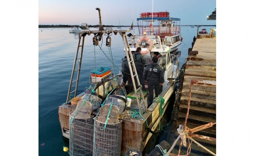 Polícia Marítima apreende cerca de 260kg de bivalves em Tavira