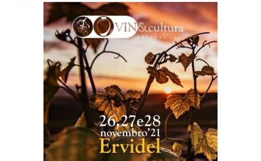 Vin&Cultura regressa a Ervidel e com nova dinâmica  