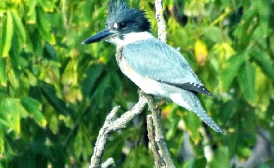 Portugal mostra-se na Alemanha para afirmar-se como destino de turismo de natureza