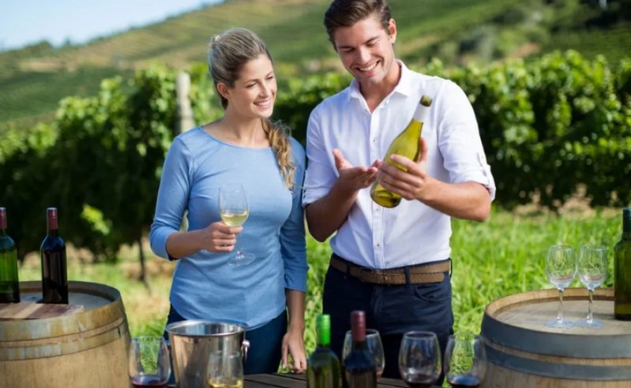 Enoturismo | European Wine Tourism Innovation Challenge tem candidaturas abertas até 1 de setembro