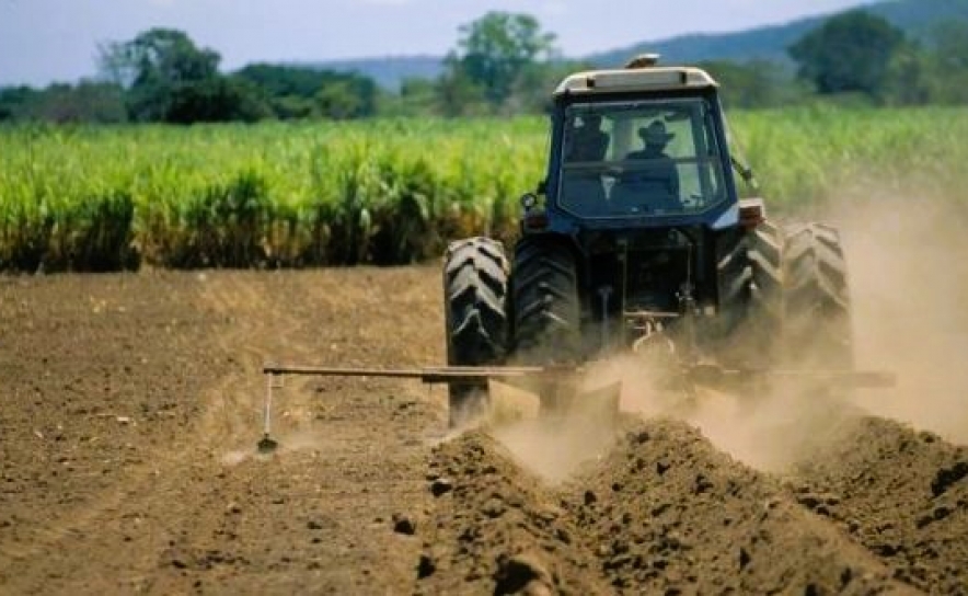 Número de explorações agrícolas na UE regista queda de 37% desde 2005